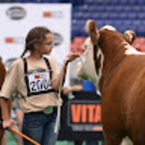 Meet your Posher, Bristol